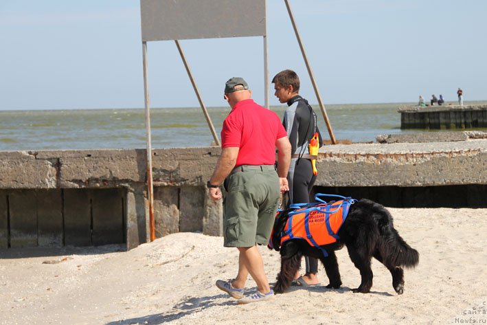 Фотография № 193207