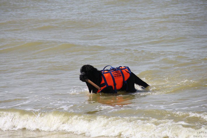 Фотография № 193225