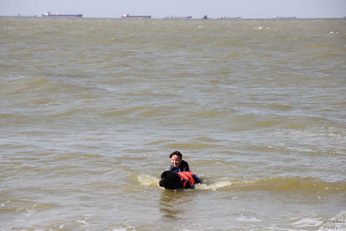 Фотография № 193226