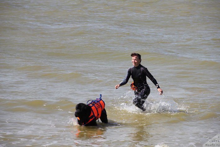 Фотография № 193227