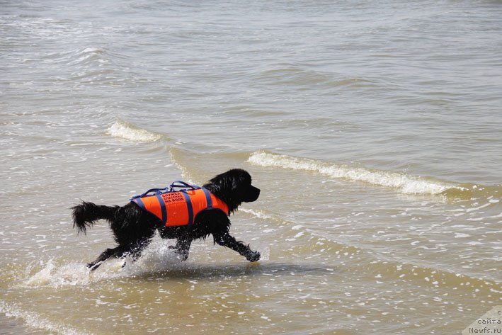 Фотография № 193228