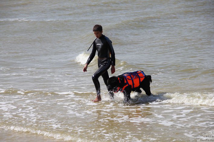 Фотография № 193231