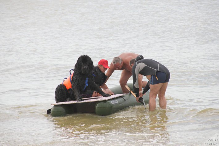 Фотография № 193233