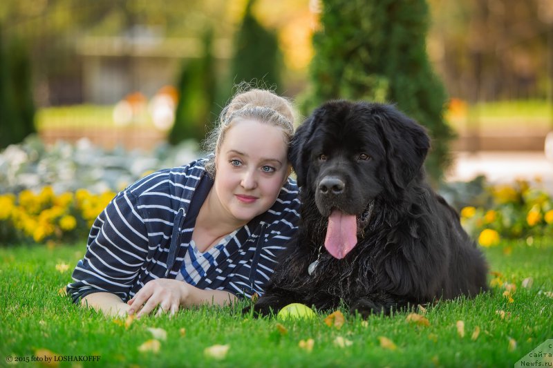 Фото: ньюфаундленд Vakula Olimpiyskiy Mishka (Вакула Олимпийский Мишка), YUliya Vashkina (Юлия Вашкина)