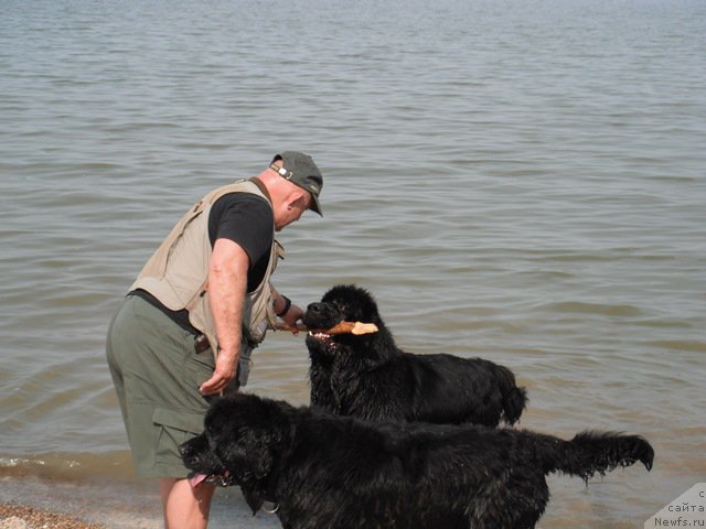 Фотография № 193318