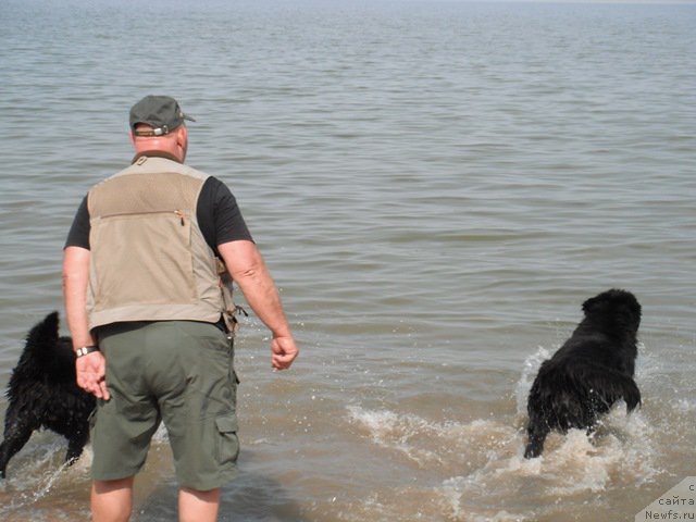 Фотография № 193319