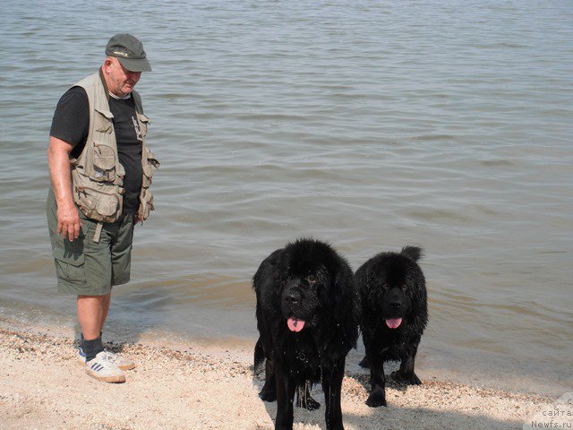 Фотография № 193320