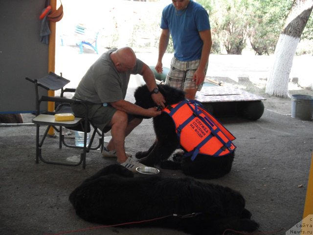 Фотография № 193321