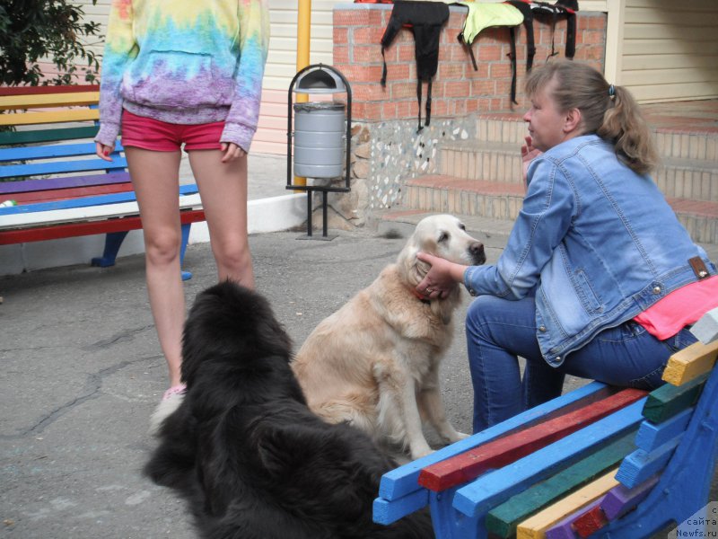 Фотография № 193326