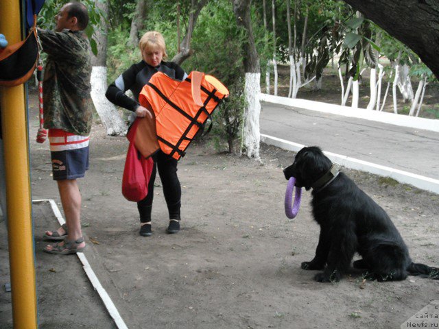 Фотография № 193327