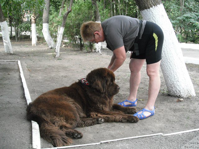 Фотография № 193330