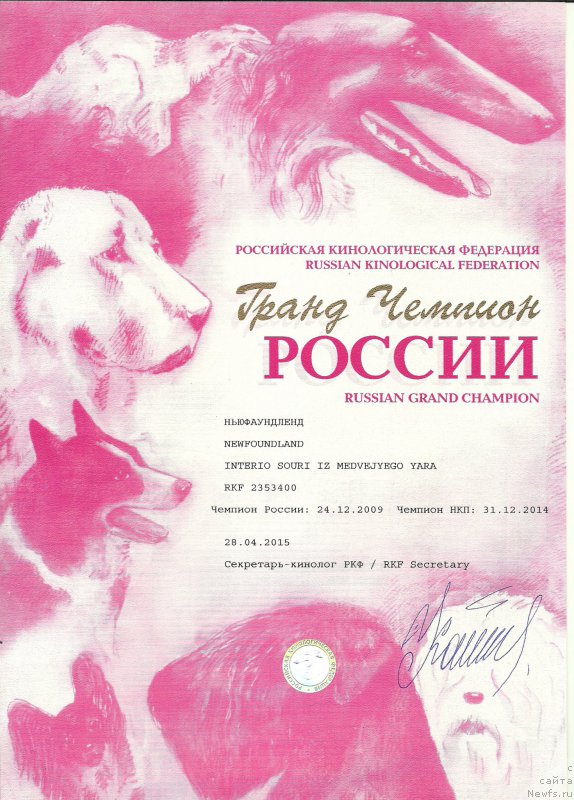 Фото: ньюфаундленд Interio Souri iz Medvejyego Yara (Интерио Соури из Медвежьего Яра)