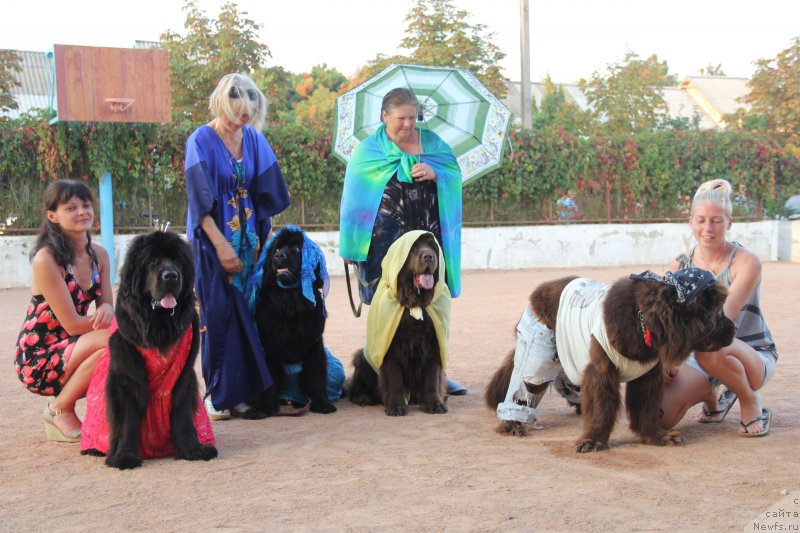 Фотография № 193353