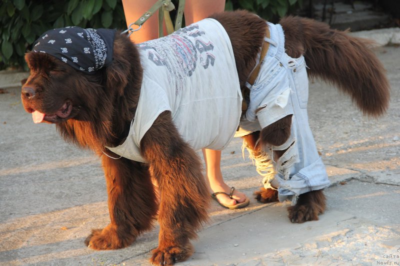 Фотография № 193354