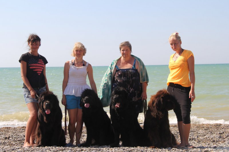 Фотография № 193360