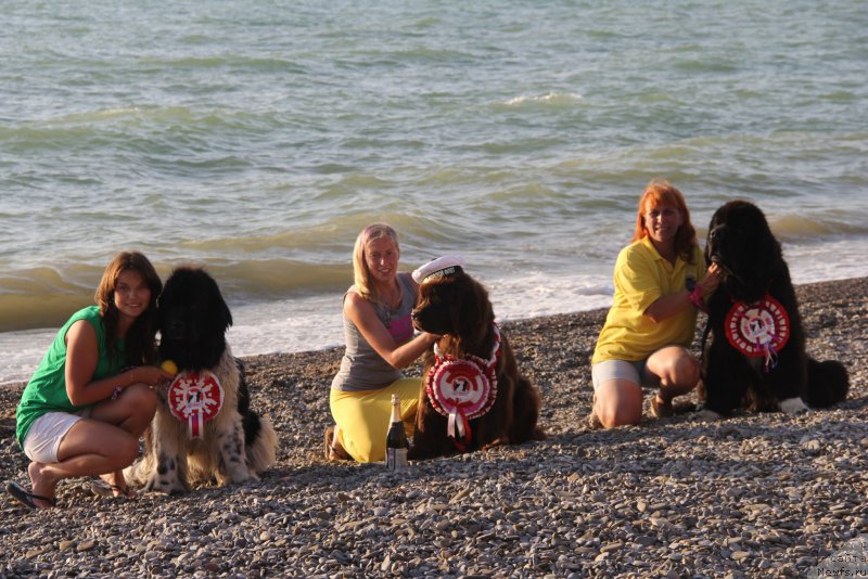 Фотография № 193361