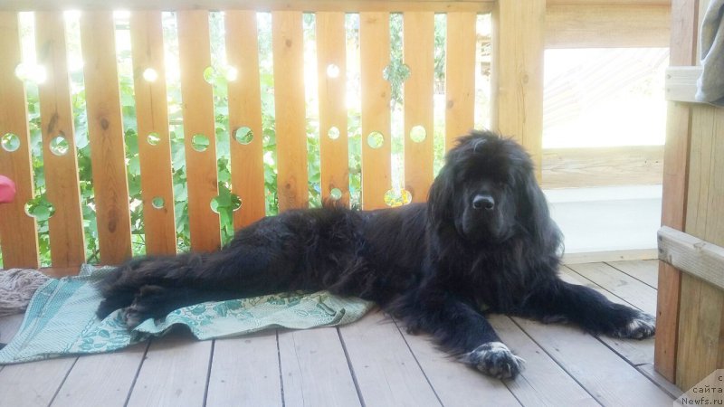 Фотография № 193370