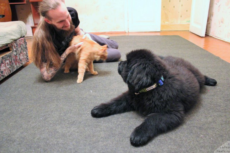 Фотография № 193383