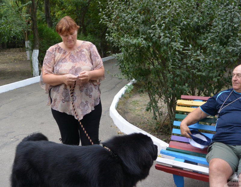 Фотография № 193393