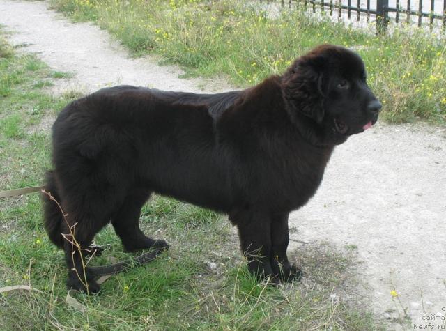 Фотография № 19340