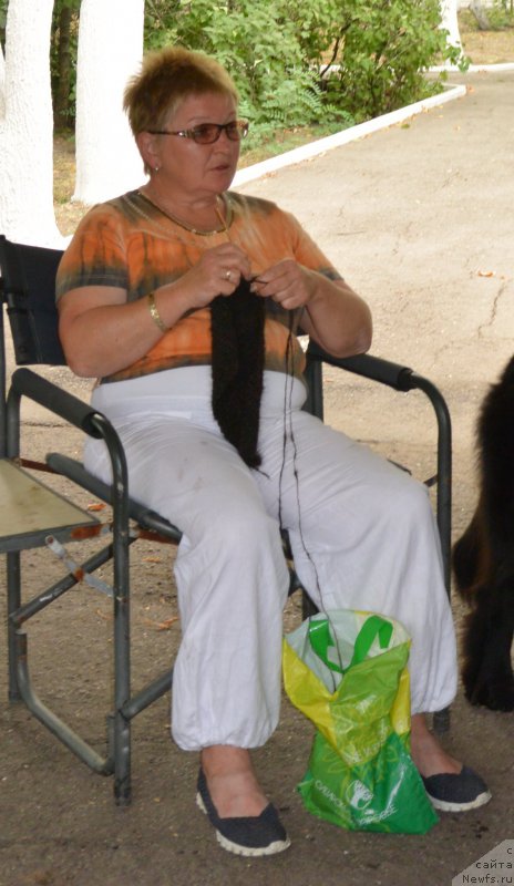 Фотография № 193401