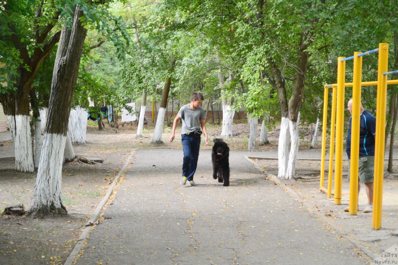 Фотография № 193407