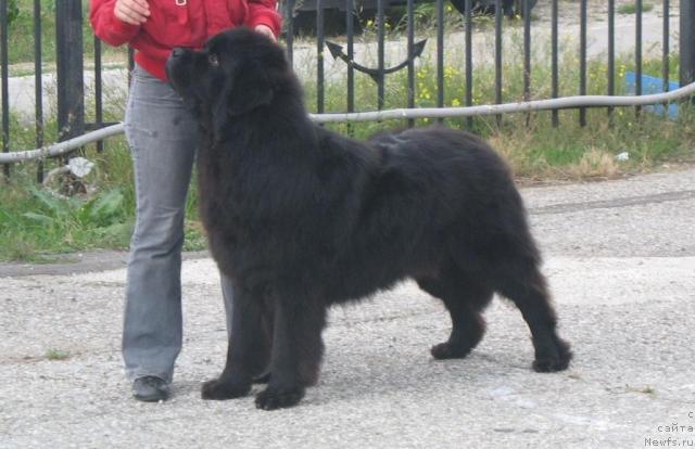 Фотография № 19341