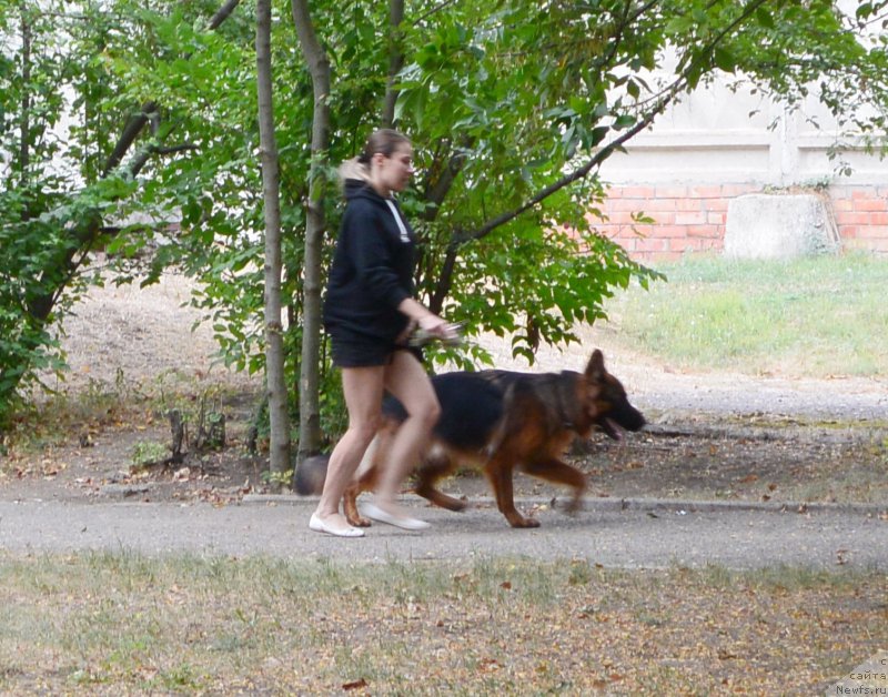 Фотография № 193416