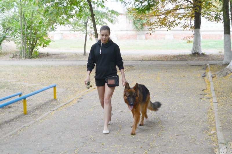 Фотография № 193420