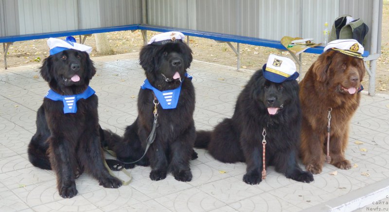 Фотография № 193434