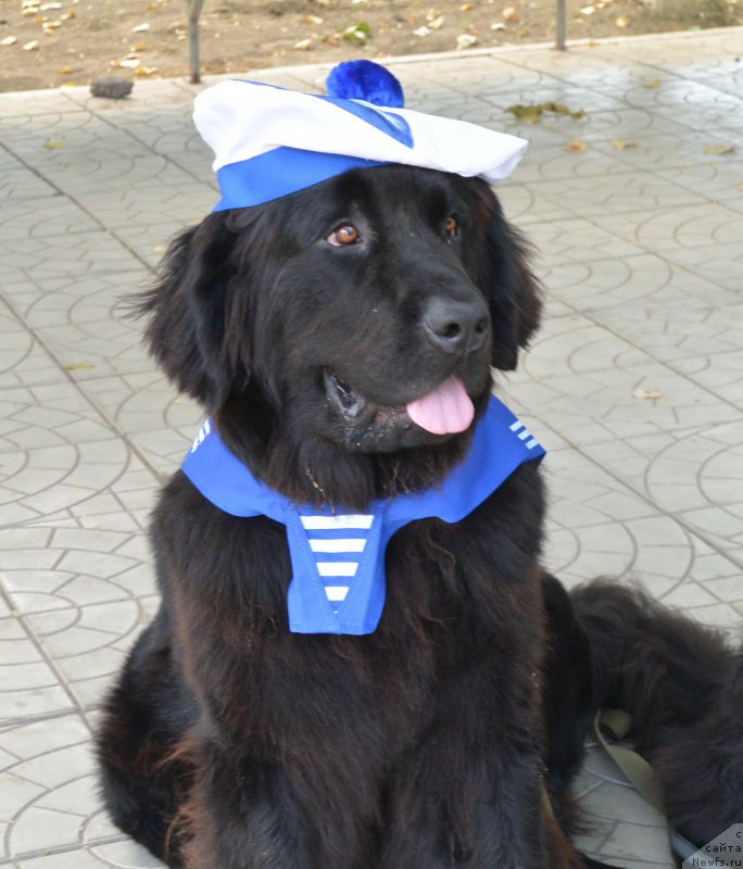 Фотография № 193435