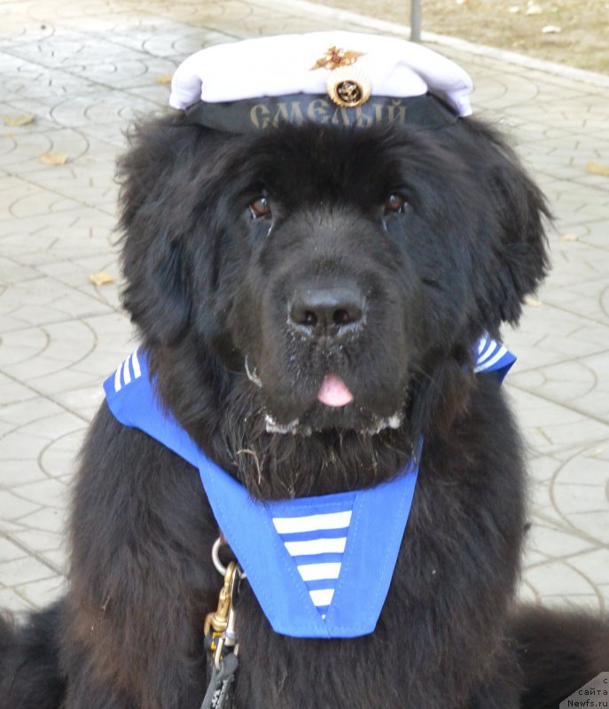 Фотография № 193436