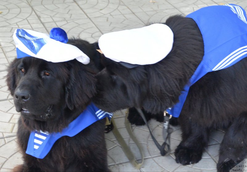 Фотография № 193440