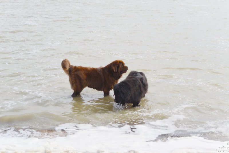 Фотография № 193442