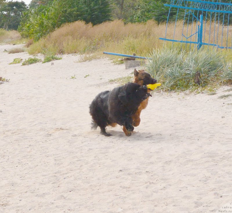 Фотография № 193443