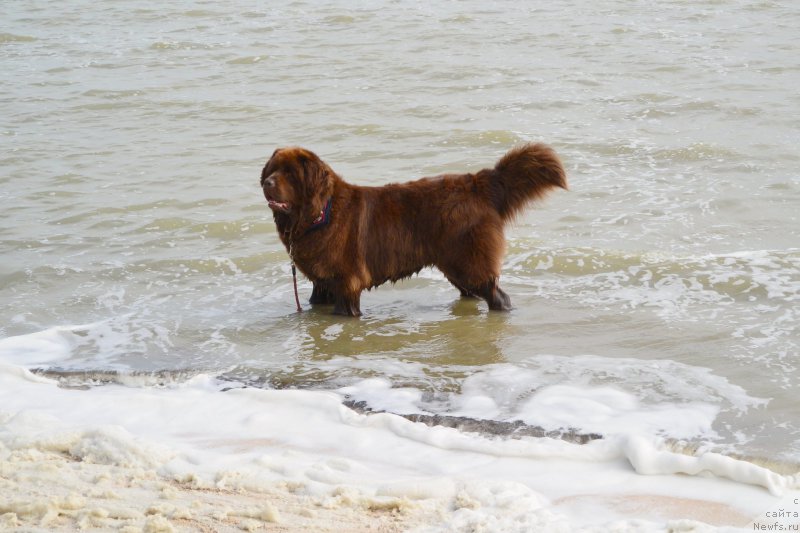 Фотография № 193444