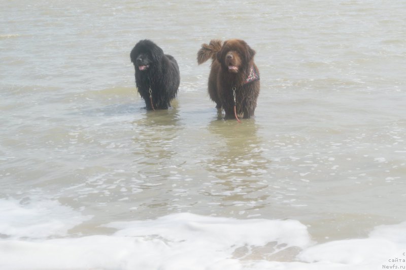 Фотография № 193452