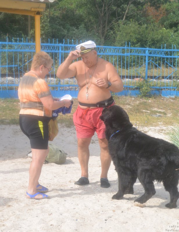 Фотография № 193457