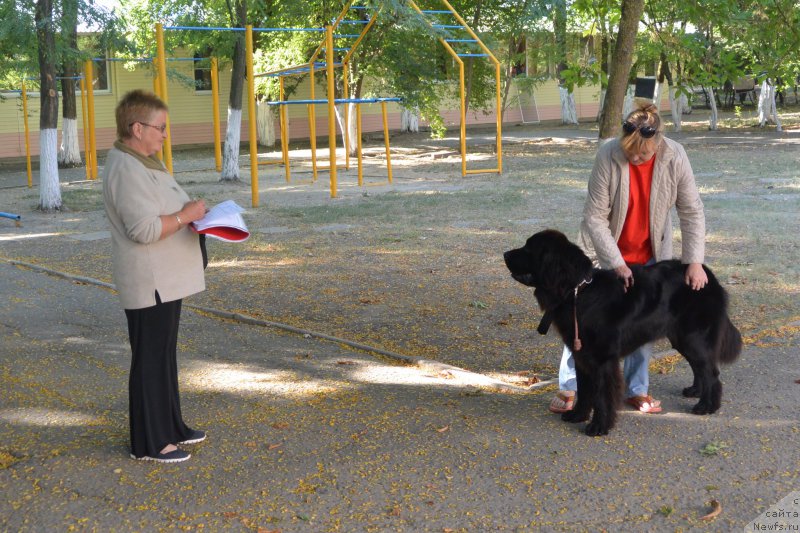 Фотография № 193473