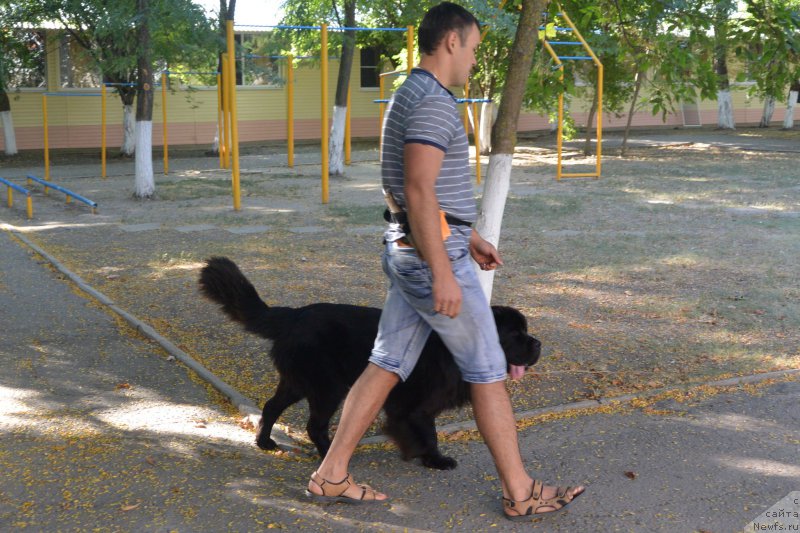 Фотография № 193476