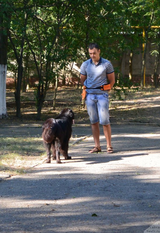 Фотография № 193478