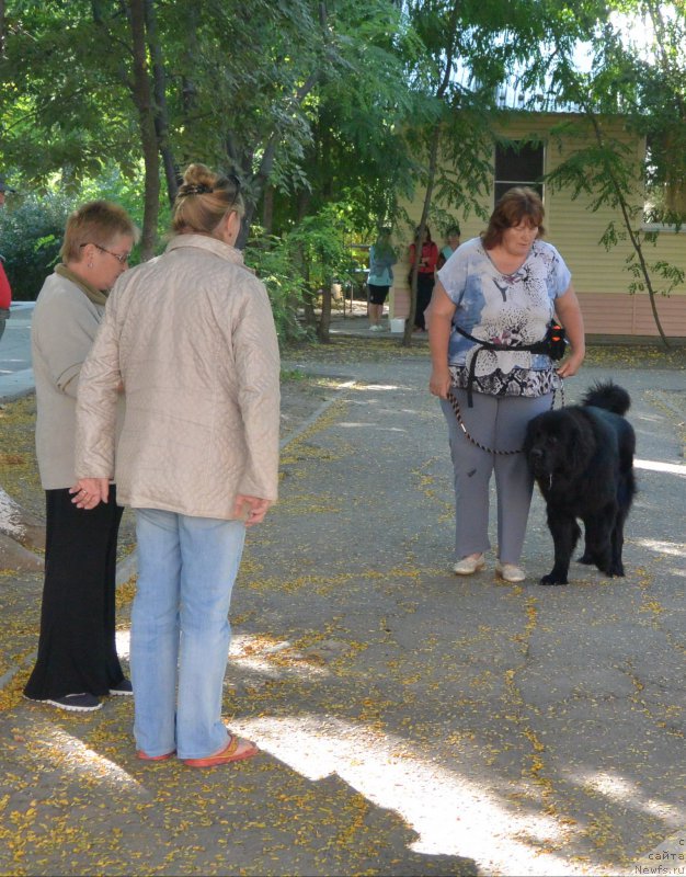 Фотография № 193481