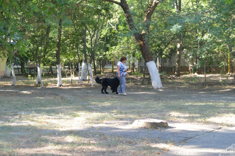 Фотография № 193483