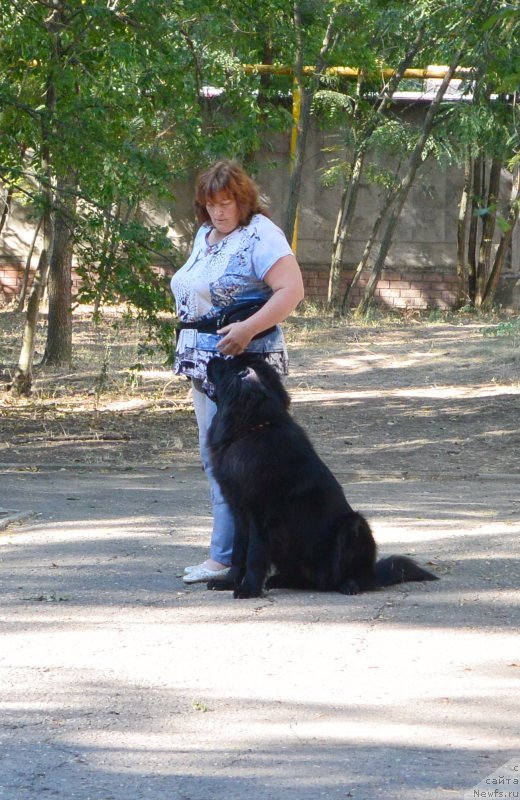 Фотография № 193484