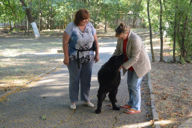 Фотография № 193487