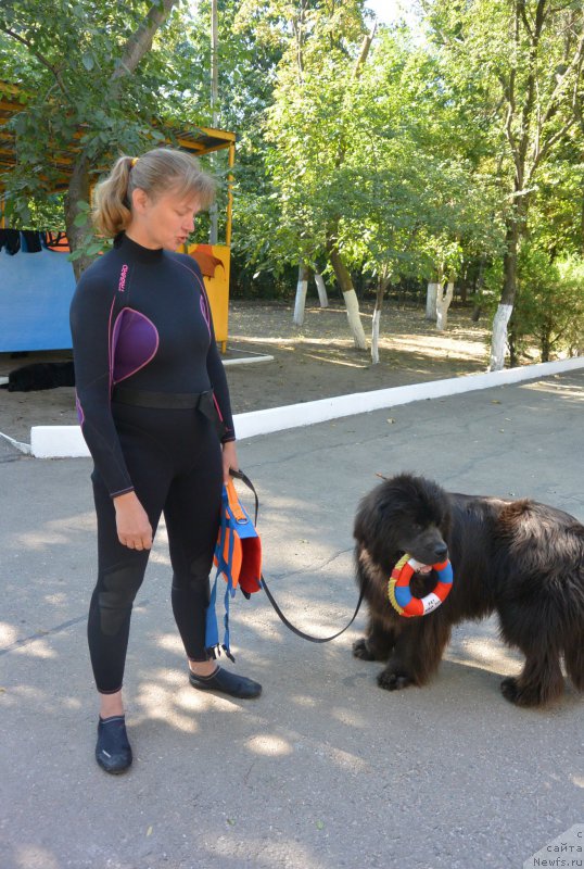 Фотография № 193495