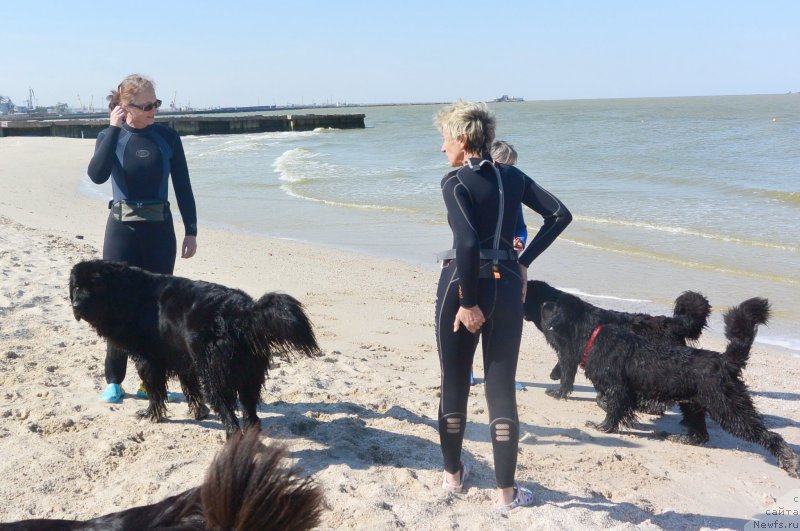 Фотография № 193499