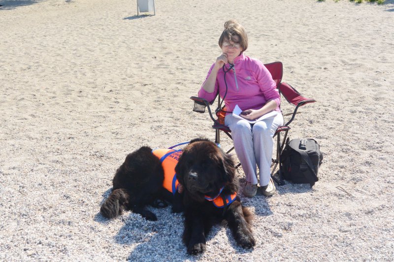 Фотография № 193511