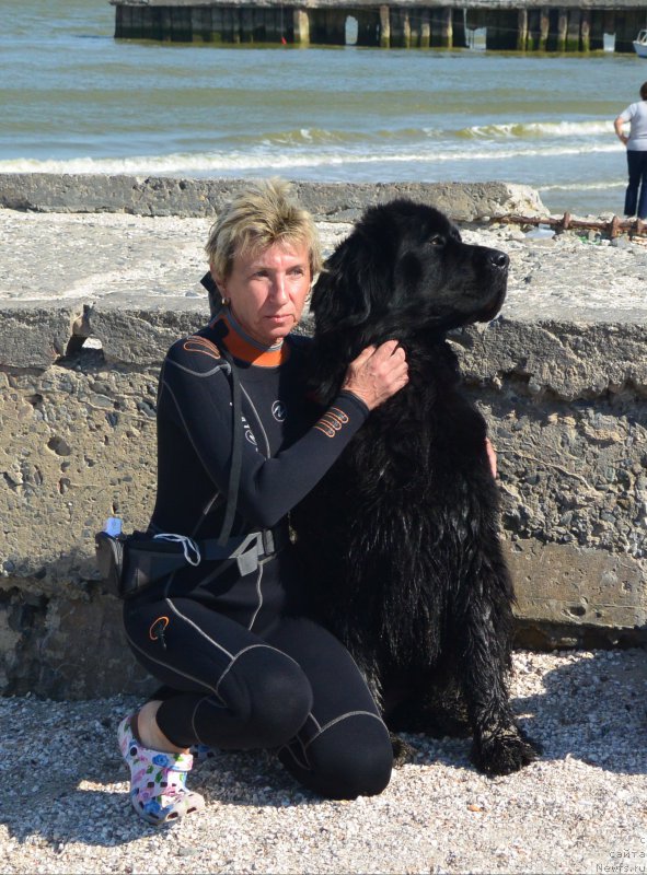 Фотография № 193514