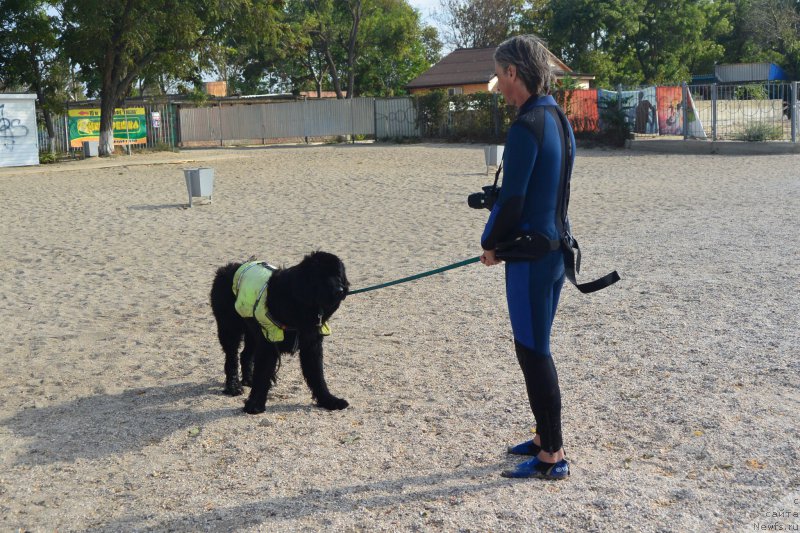 Фотография № 193516